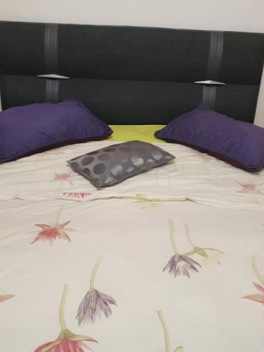 Apartament ROXANA